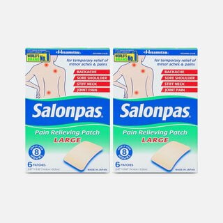 Salonpas Pain Relieving Patch, Large, 6 ct. (2-Pack)